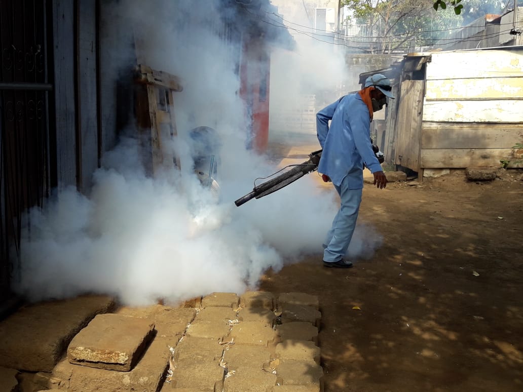 FUMIGAR1
